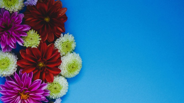 季中为申花 季中为申花