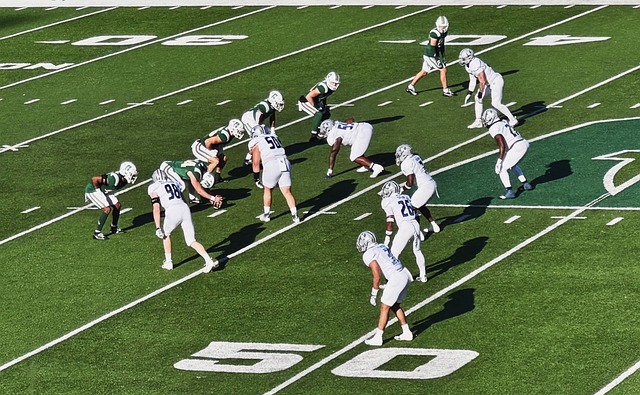 动的专业属 动的专业属