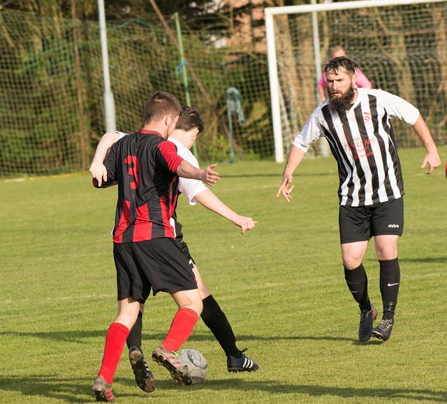 经历了什么 经历了什么