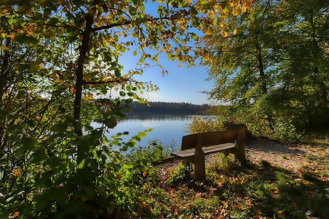 这种精神都 这种精神都
