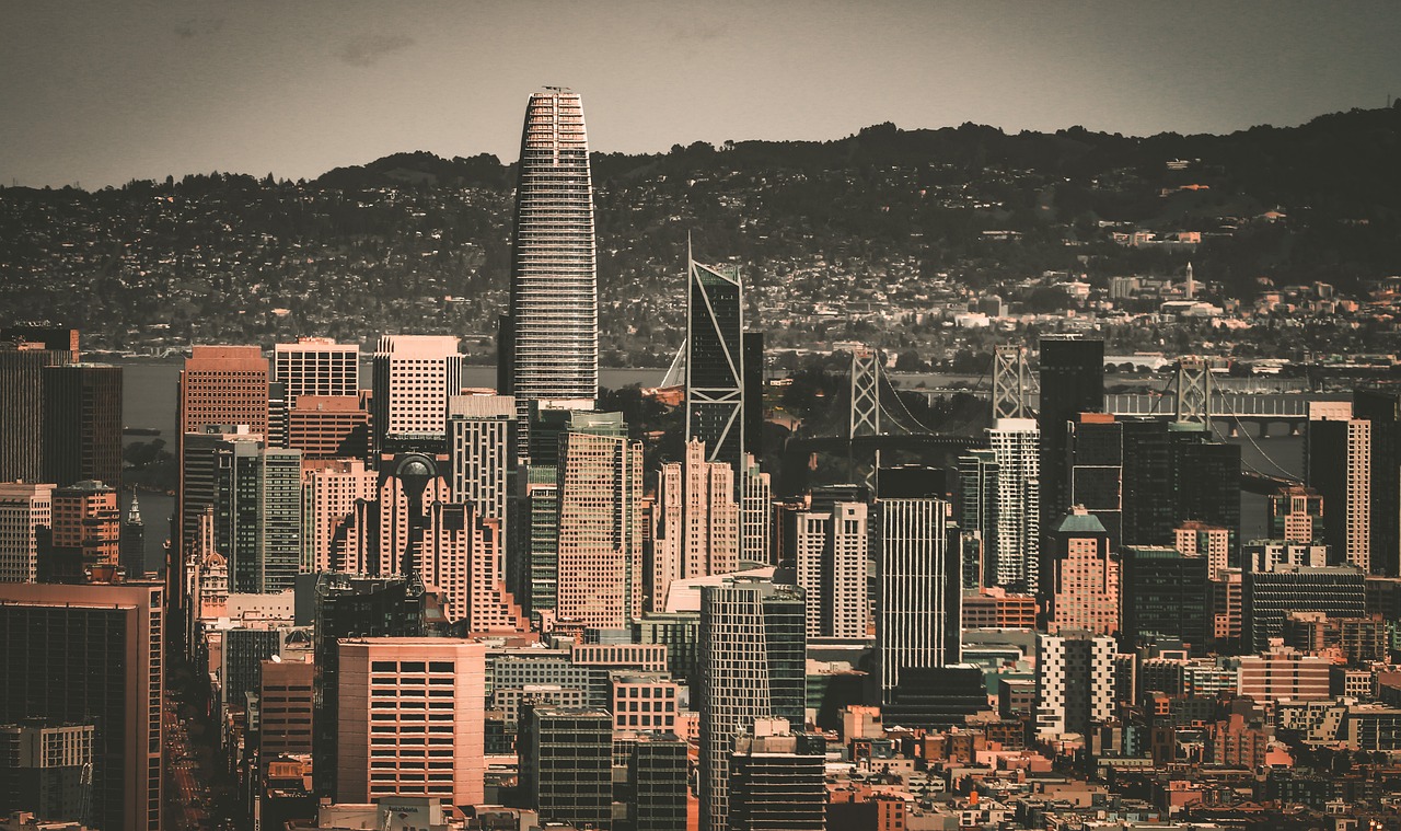 辛與付出 辛與付出