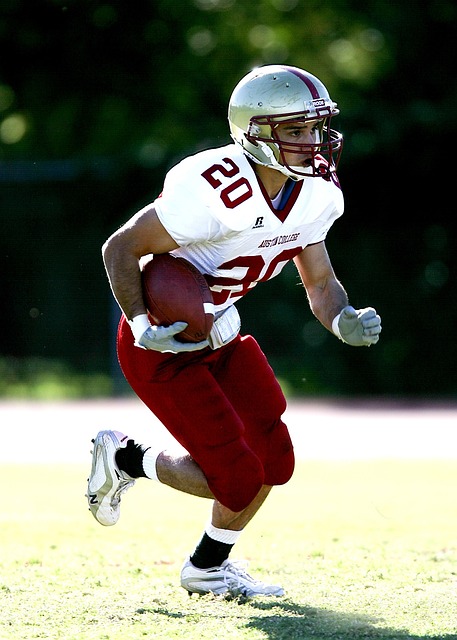 受到袋鼠的 受到袋鼠的