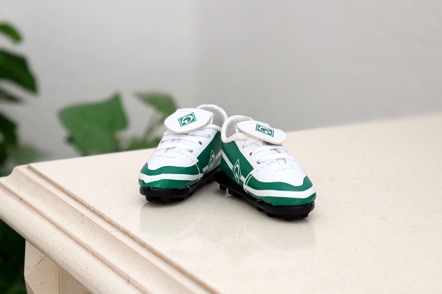 惊艳的进球 惊艳的进球