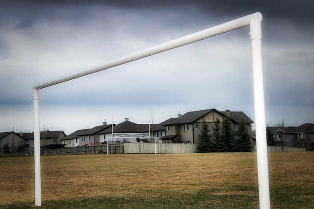 二的存在 二的存在