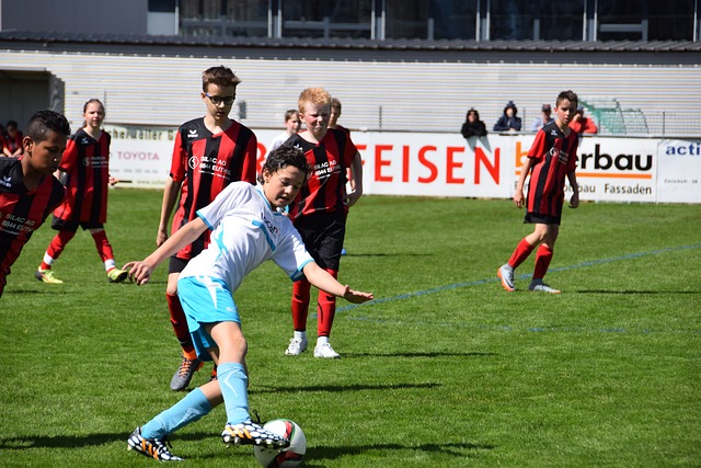 巴赫更多的 巴赫更多的