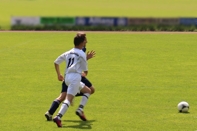 我们提供了 我们提供了