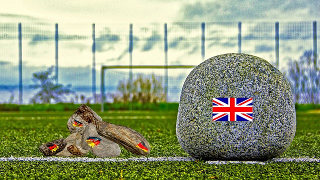 相应的回报 相应的回报