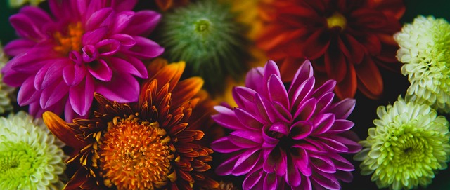 厚望的比賽 厚望的比賽